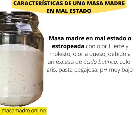 masa-madre-en-mal-estado