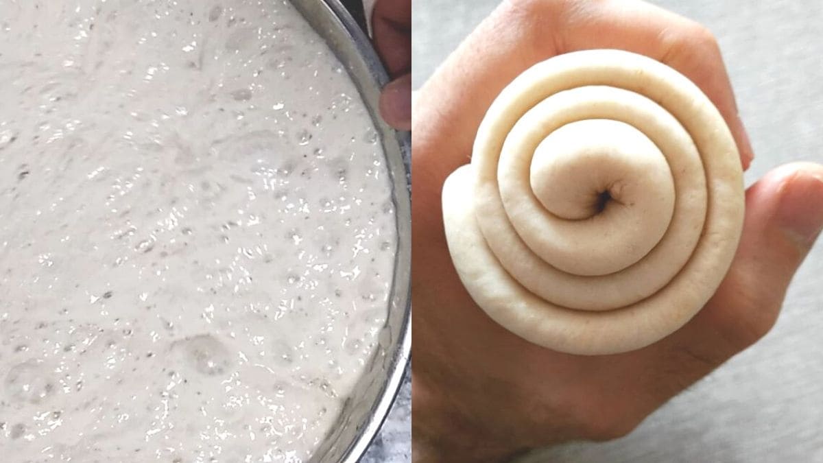 Como Saber Si La Masa Madre Está Estropeada
