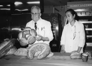 👉 ¿Que es la autolisis en panadería?