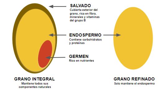 👉 3 beneficios del pan integral para tu salud ✅