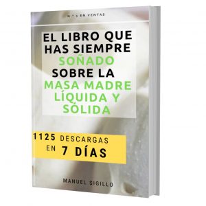 Libro-masa-madre-pdf